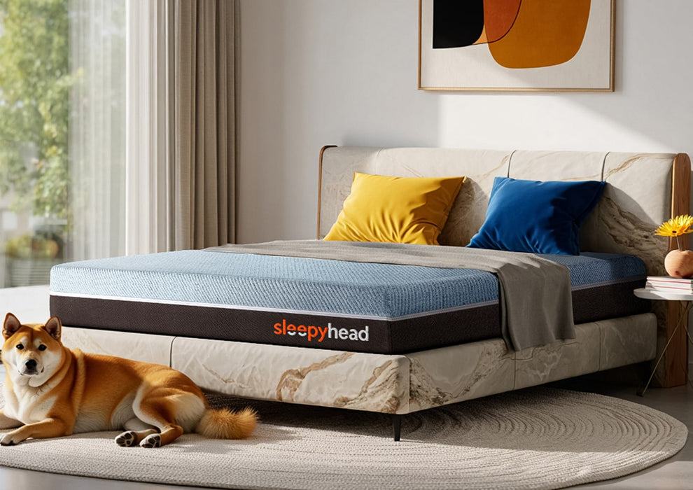 Sleepyhead Laxe - Pincore Latex Foam Queen Sized Mattress