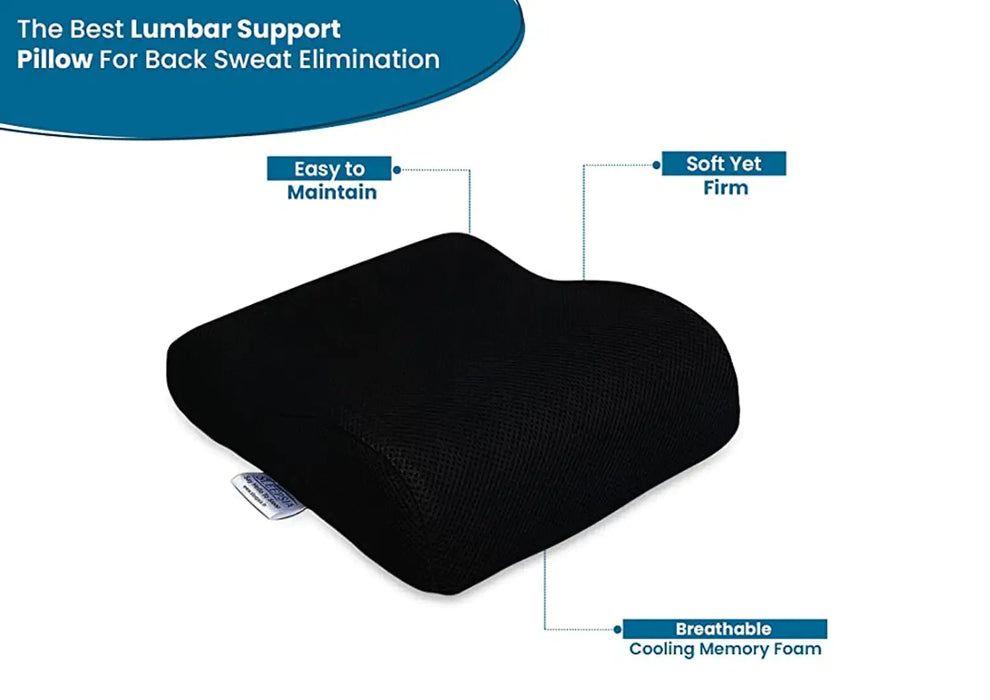 Sleepsia Memory Foam Mini Contour Travel Pillow, Pillow for Back Support